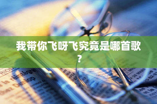 我带你飞呀飞究竟是哪首歌？