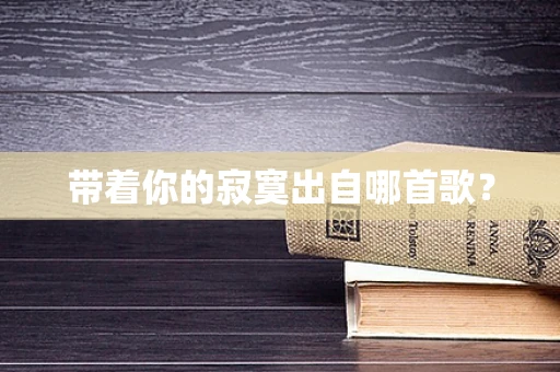 带着你的寂寞出自哪首歌？