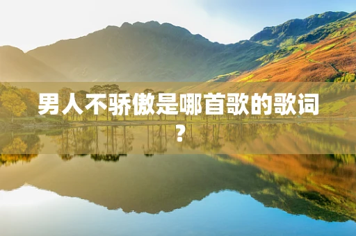 男人不骄傲是哪首歌的歌词？