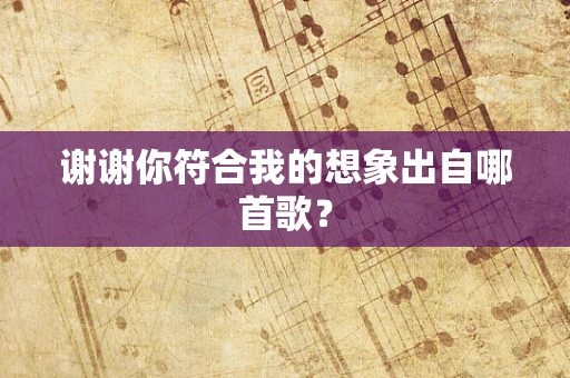 谢谢你符合我的想象出自哪首歌？