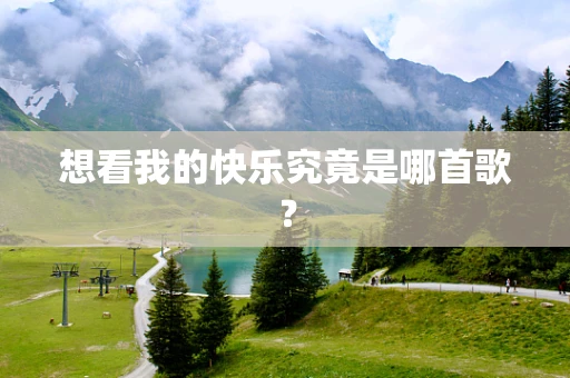想看我的快乐究竟是哪首歌？