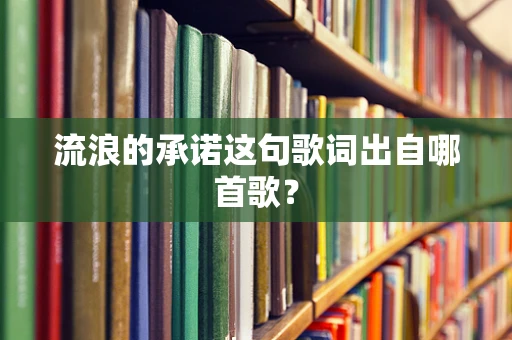 流浪的承诺这句歌词出自哪首歌？