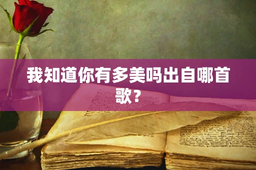 我知道你有多美吗出自哪首歌？