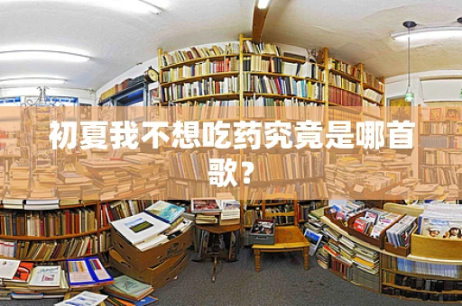 初夏我不想吃药究竟是哪首歌？