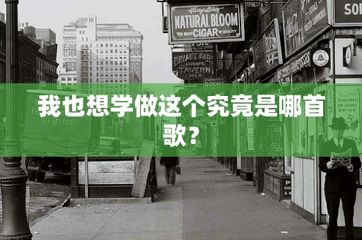 我也想学做这个究竟是哪首歌？