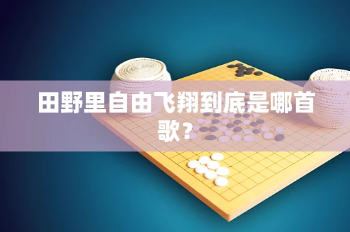 田野里自由飞翔到底是哪首歌？