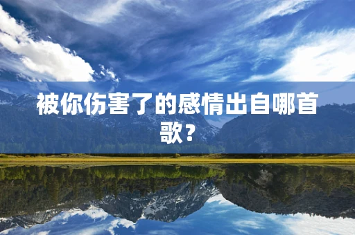 被你伤害了的感情出自哪首歌？