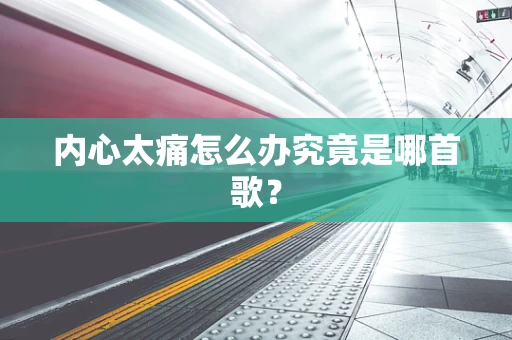 内心太痛怎么办究竟是哪首歌？