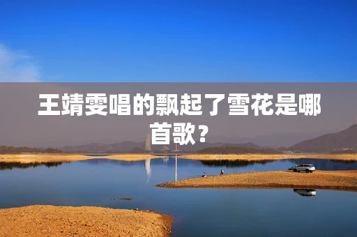王靖雯唱的飘起了雪花是哪首歌？