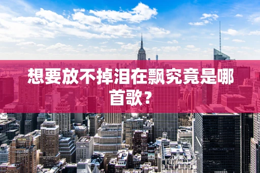 想要放不掉泪在飘究竟是哪首歌？