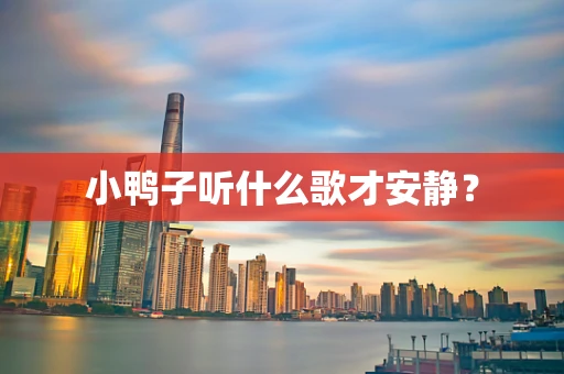 小鸭子听什么歌才安静？