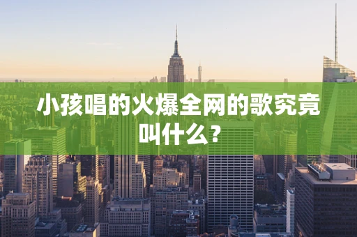 小孩唱的火爆全网的歌究竟叫什么？