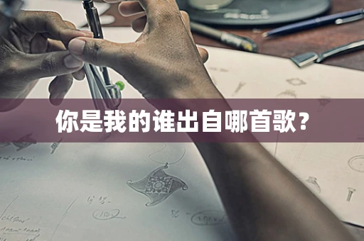 你是我的谁出自哪首歌？