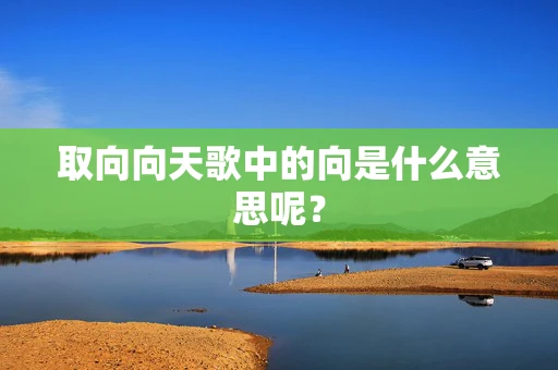 取向向天歌中的向是什么意思呢？