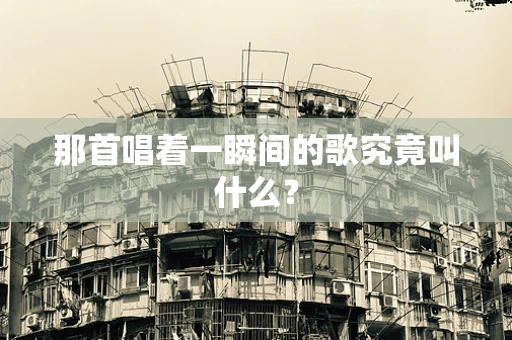 那首唱着一瞬间的歌究竟叫什么？