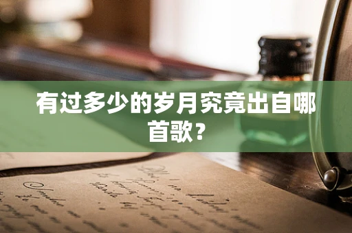 有过多少的岁月究竟出自哪首歌？