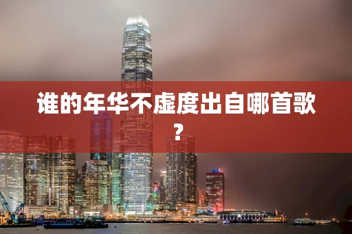 谁的年华不虚度出自哪首歌？