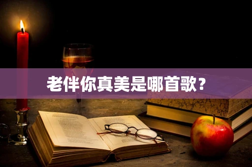 老伴你真美是哪首歌？