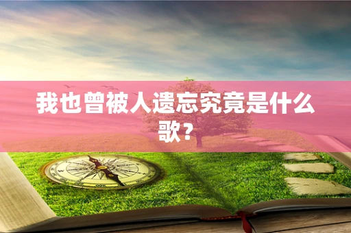 我也曾被人遗忘究竟是什么歌？