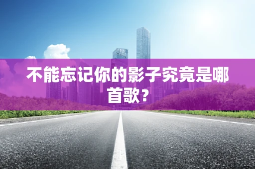 不能忘记你的影子究竟是哪首歌？
