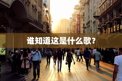 谁知道这是什么歌？