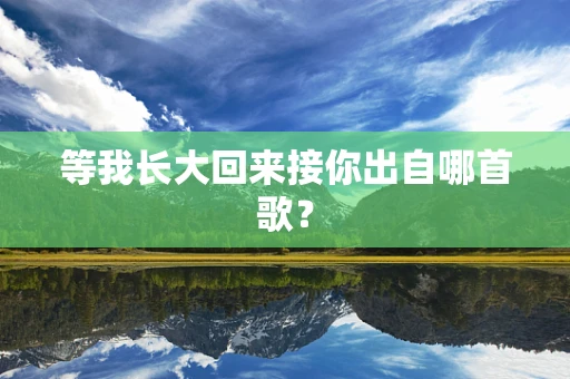 等我长大回来接你出自哪首歌？