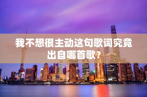 我不想很主动这句歌词究竟出自哪首歌？