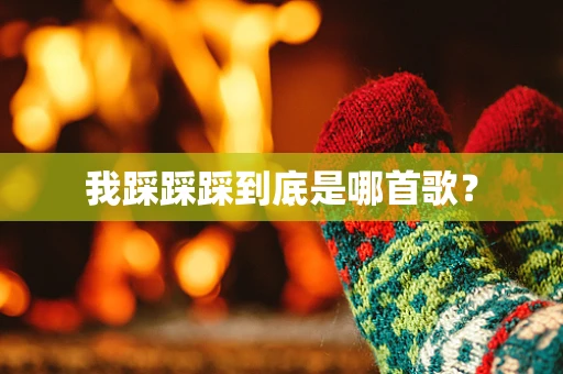 我踩踩踩到底是哪首歌？
