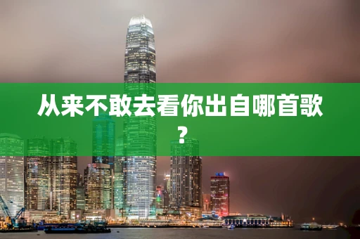 从来不敢去看你出自哪首歌？