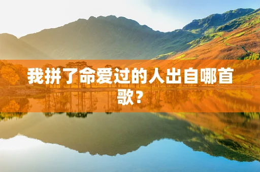 我拼了命爱过的人出自哪首歌？