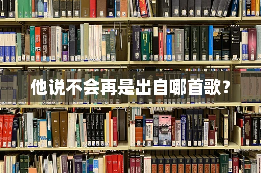 他说不会再是出自哪首歌？