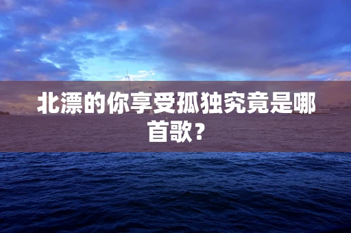 北漂的你享受孤独究竟是哪首歌？
