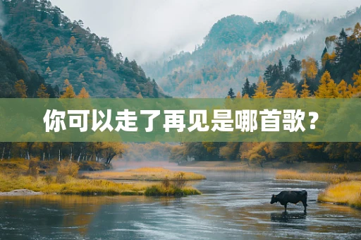 你可以走了再见是哪首歌？