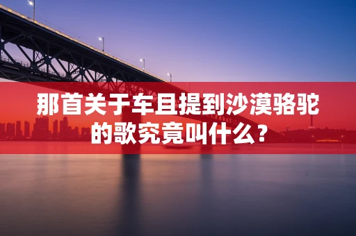 那首关于车且提到沙漠骆驼的歌究竟叫什么？