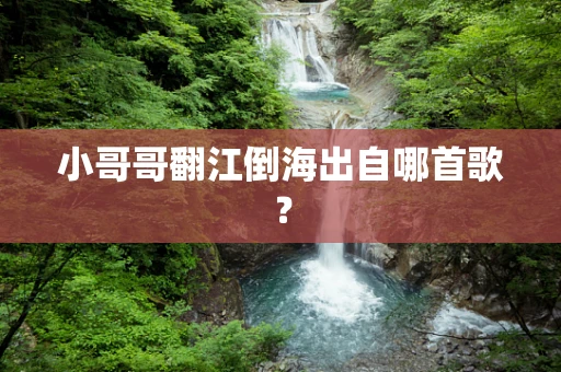 小哥哥翻江倒海出自哪首歌？