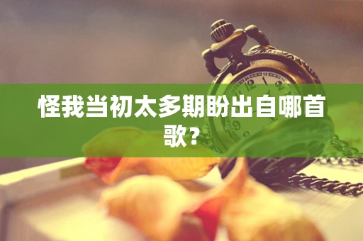 怪我当初太多期盼出自哪首歌？
