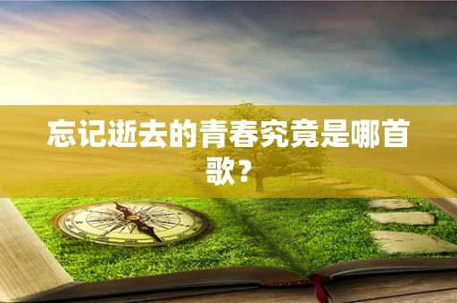忘记逝去的青春究竟是哪首歌？