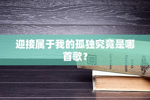 迎接属于我的孤独究竟是哪首歌？