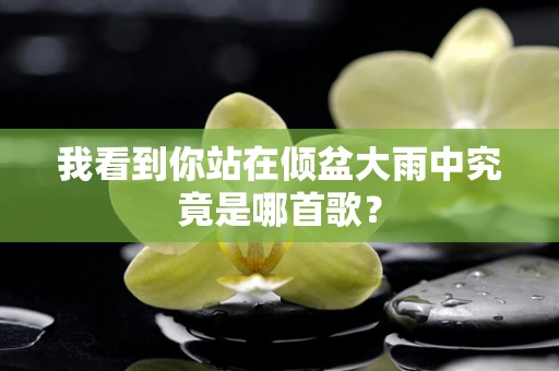 我看到你站在倾盆大雨中究竟是哪首歌？