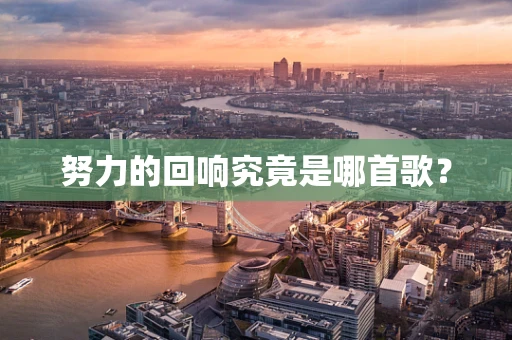 努力的回响究竟是哪首歌？
