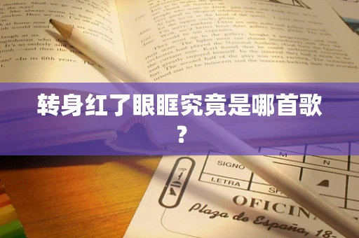 转身红了眼眶究竟是哪首歌？