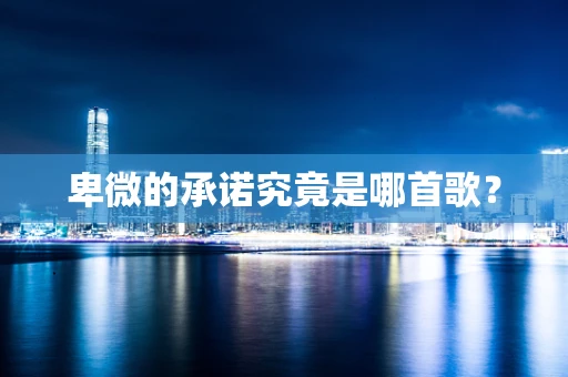 卑微的承诺究竟是哪首歌？
