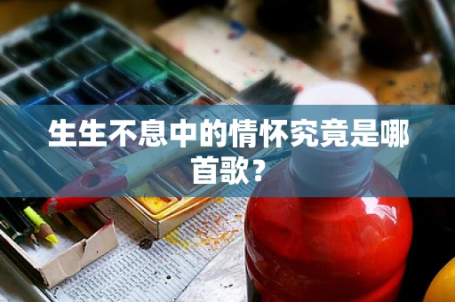生生不息中的情怀究竟是哪首歌？