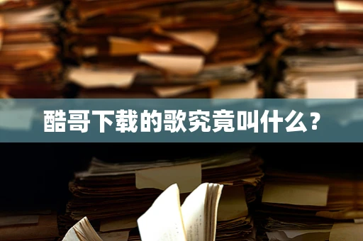 酷哥下载的歌究竟叫什么？