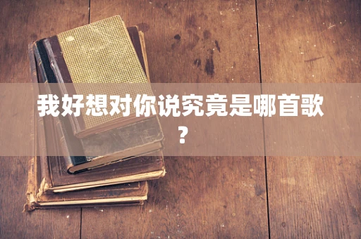 我好想对你说究竟是哪首歌？