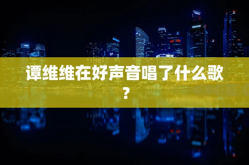 谭维维在好声音唱了什么歌？