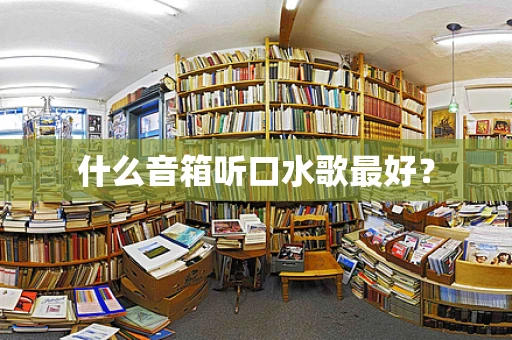 什么音箱听口水歌最好？