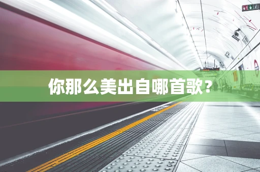 你那么美出自哪首歌？