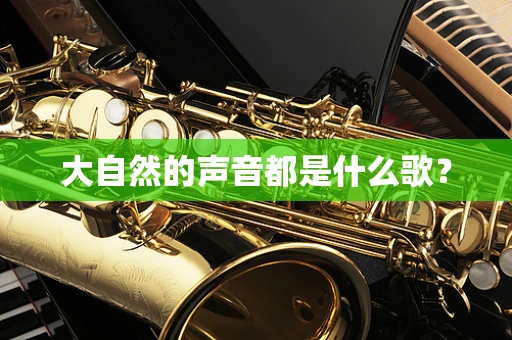 大自然的声音都是什么歌？