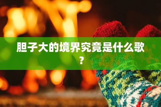 胆子大的境界究竟是什么歌？